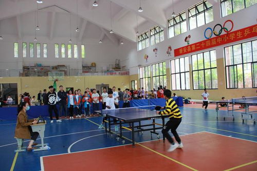 磐安縣第二十四屆中小學(xué)生乒乓球比賽在文溪小學(xué)舉行