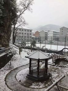 雪后校園驚艷亮相 有你的學(xué)校嗎