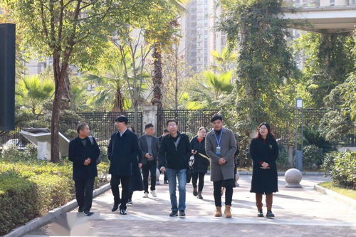 發展性評價 麗水市文元學校 發展評估促成長 砥礪奮進向未來