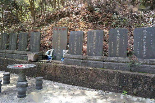 紅動磐安 磐安百年黨史┃用生命喚醒勞苦大眾 方前地區黨組織革命歷程追尋