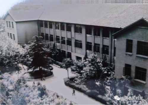 普陀這條路,原來這么有故事